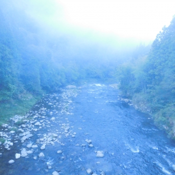 DSCN4923.JPG