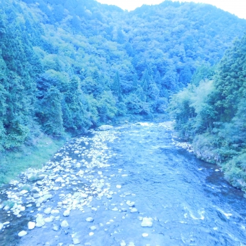 DSCN4927.JPG