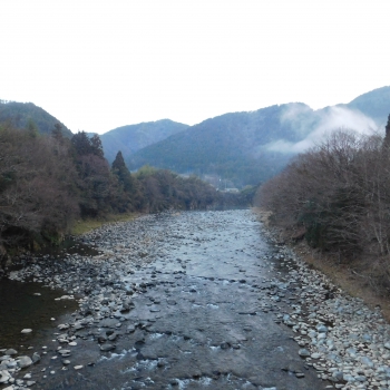 DSCN4973.JPG