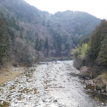 DSCN4974.JPG