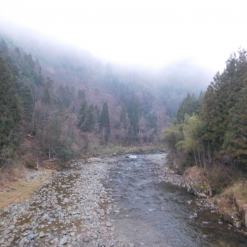 DSCN4978.JPG
