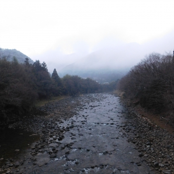 DSCN4981.JPG