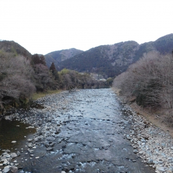 DSCN4985.JPG