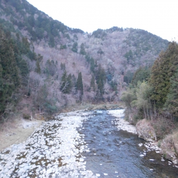 DSCN4986.JPG