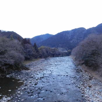 DSCN4989.JPG