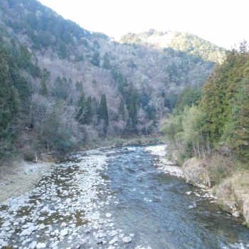 DSCN4990.JPG