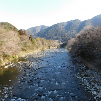 DSCN4993.JPG