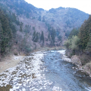 DSCN4994.JPG