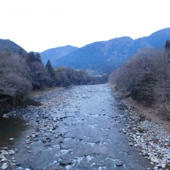 DSCN4997.JPG