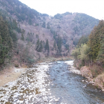 DSCN4998.JPG