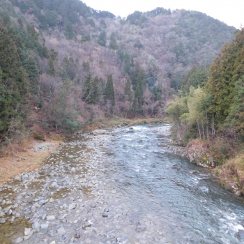 DSCN5006.JPG