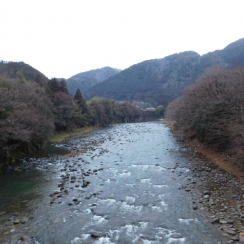 DSCN5009.JPG