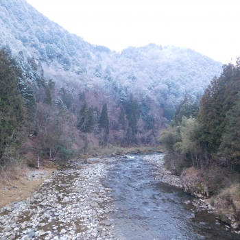 DSCN5010.JPG