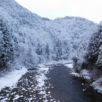 DSCN5014.JPG
