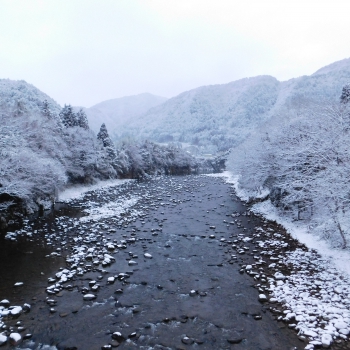 DSCN5017.JPG