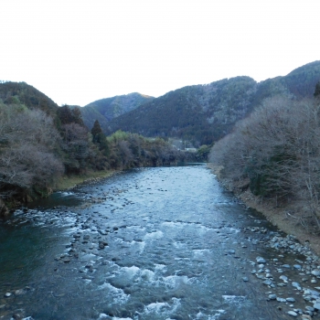 DSCN5131.JPG