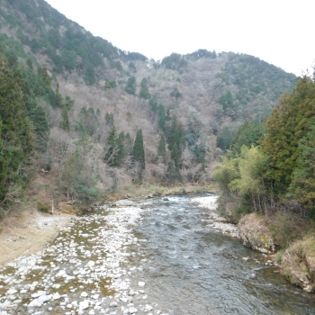 DSCN5132.JPG