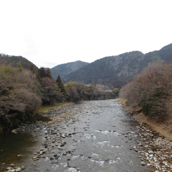 DSCN5135.JPG