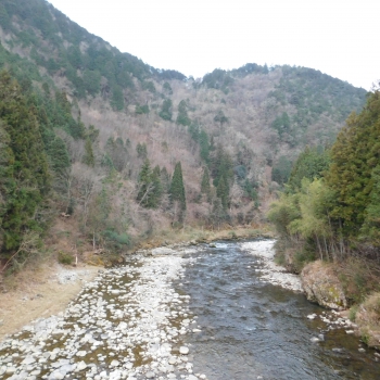 DSCN5136.JPG
