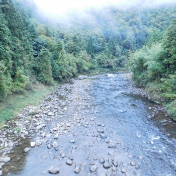 DSCN5137.JPG
