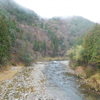 DSCN5140.JPG