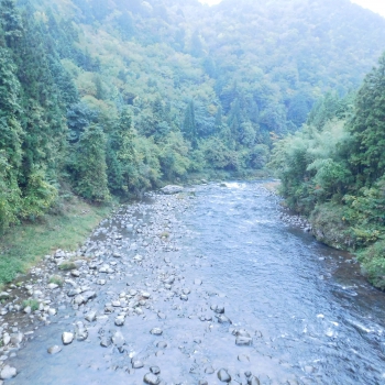 DSCN5141.JPG