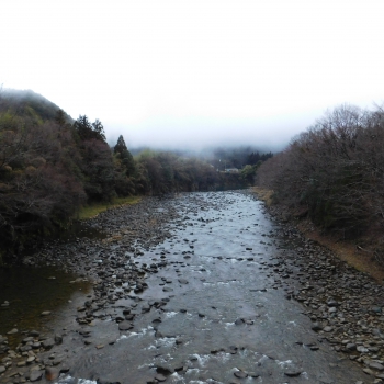 DSCN5143.JPG