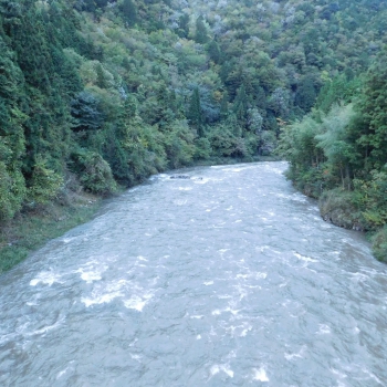 DSCN5145.JPG