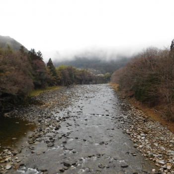 DSCN5151.JPG