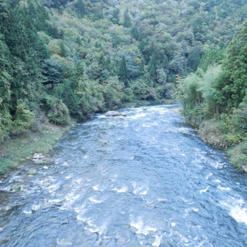 DSCN5152.JPG