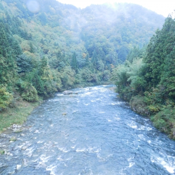 DSCN5156.JPG