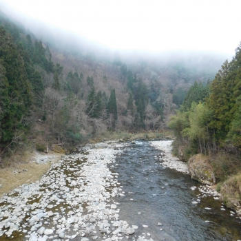 DSCN5157.JPG