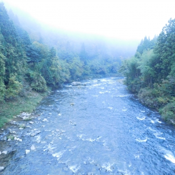 DSCN5160.JPG