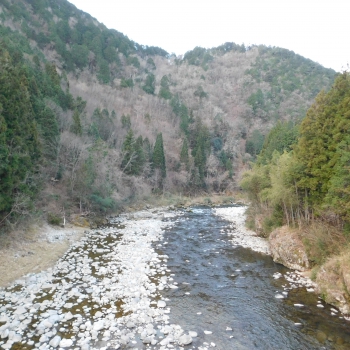 DSCN5161.JPG