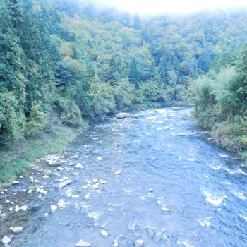 DSCN5164.JPG