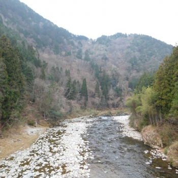 DSCN5165.JPG
