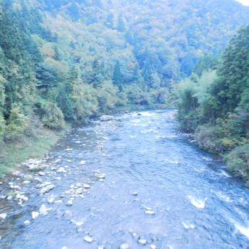 DSCN5168.JPG