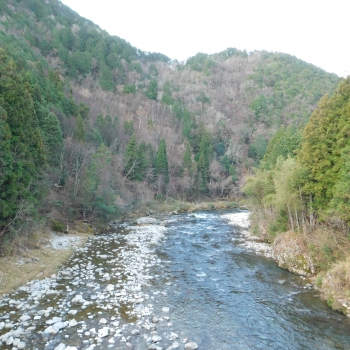 DSCN5173.JPG