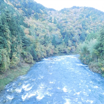 DSCN5174.JPG