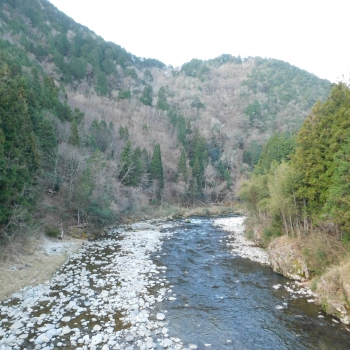 DSCN5177.JPG