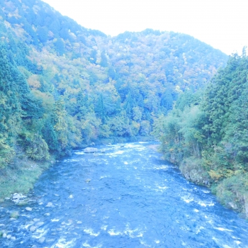 DSCN5179.JPG