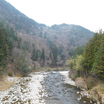 DSCN5181.JPG