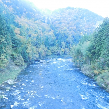 DSCN5183.JPG