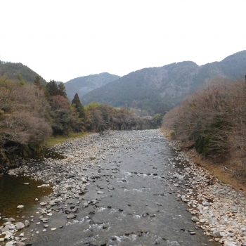 DSCN5184.JPG