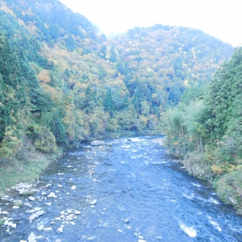 DSCN5187.JPG