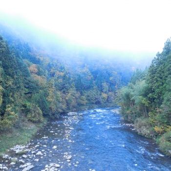 DSCN5191.JPG