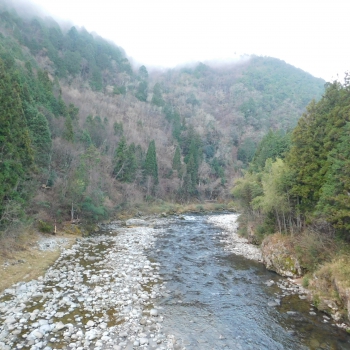 DSCN5203.JPG
