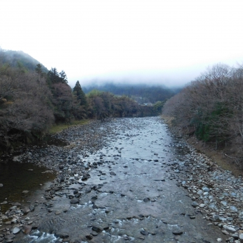 DSCN5206.JPG