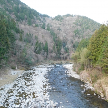 DSCN5207.JPG