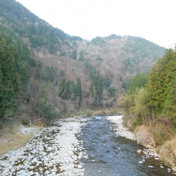 DSCN5215.JPG